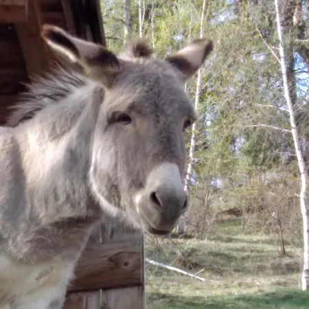 Il Noce E La Strega 컨트리하우스