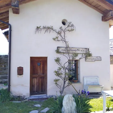 Il Noce E La Strega *