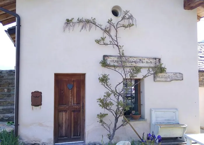 Il Noce E La Strega *